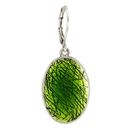 Etched Enamel Overlay