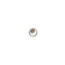 Crystal Hoop Post